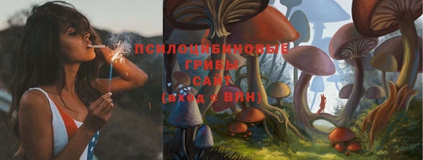 экстази Богородск