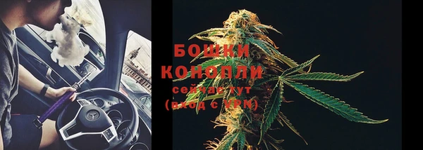шишки Богданович