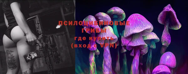 шишки Богданович