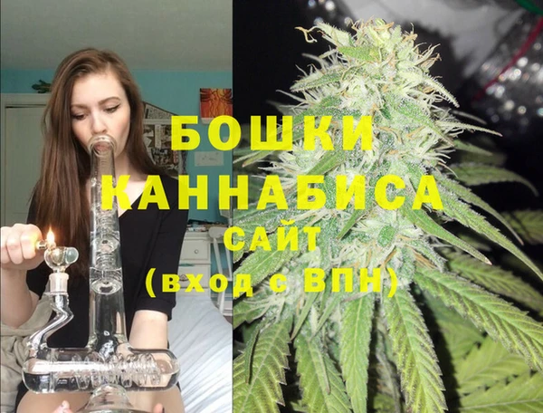 шишки Богданович