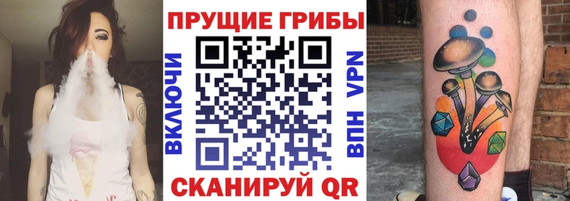 Галлюциногенные грибы Psilocybine cubensis  мориарти какой сайт  Гаврилов-Ям 